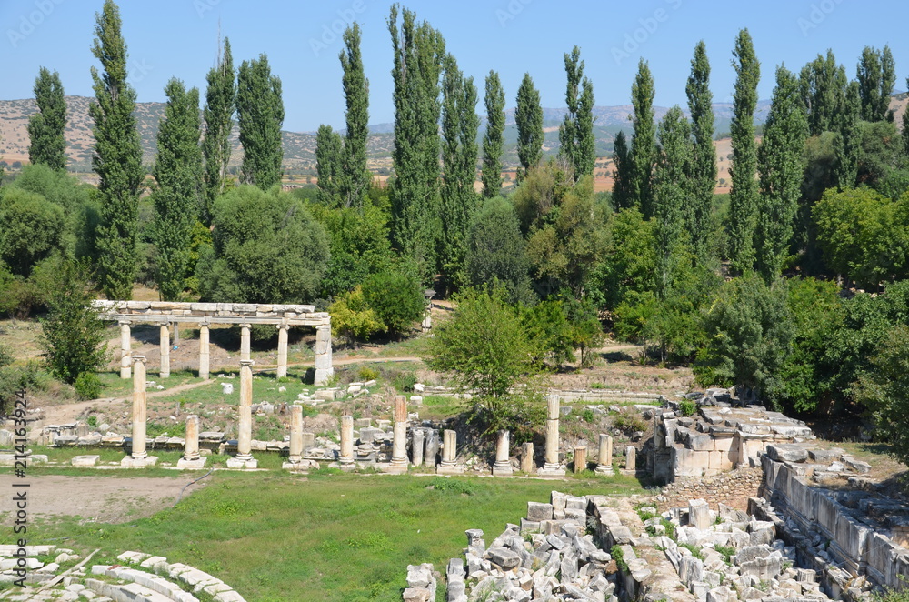 Poster Aphrodisias ancient greek city tyrkey caria ruins marble