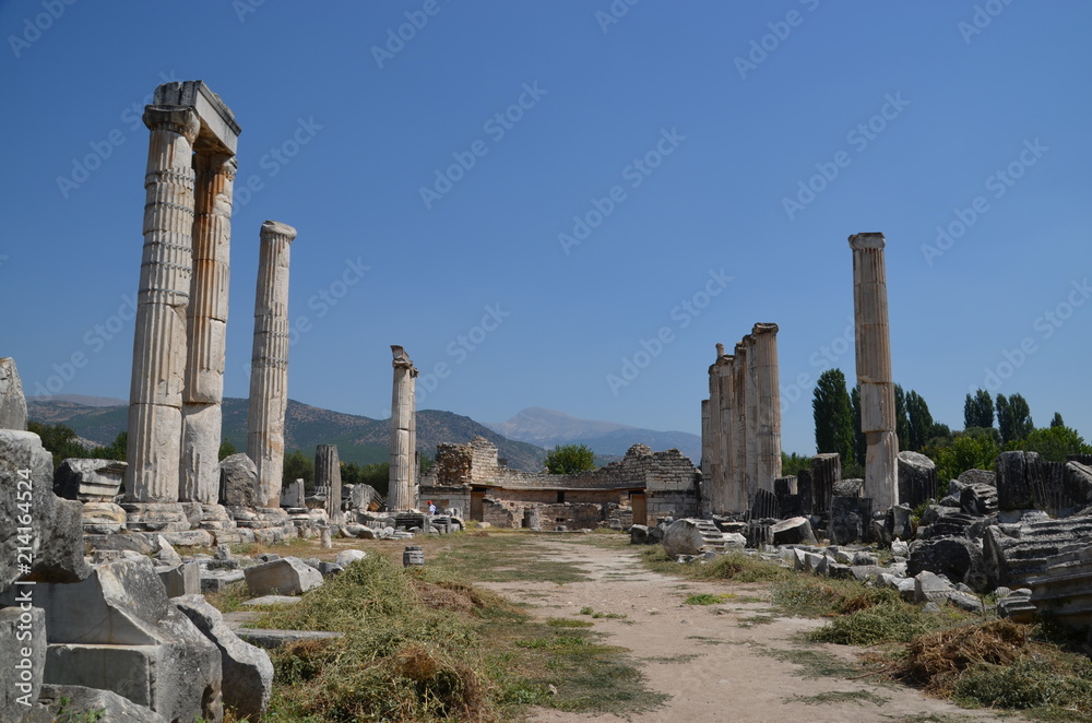 Sticker Aphrodisias ancient greek city tyrkey caria ruins stones marble summer