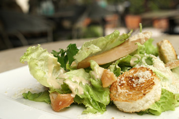 Green salad with toasted bread pieces and a chunks of chicken in a white plate, 