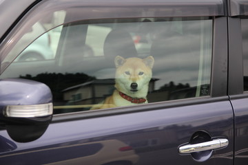 海, 惰性で進む, 水, アイランズ, 岩, 風景, 海, 空, 自然, 青, 崖, 浜,...