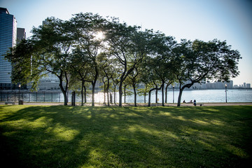 chicago city skyline in sping 