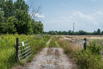 Fototapeta premium old farm road with a garte
