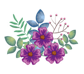 beautiful flowers and leafs decoration vector illustration design