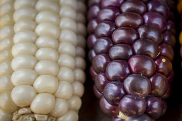 Close up corn, corn color on the wood background