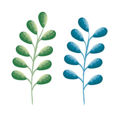 set leafs plant icons vector illustration design