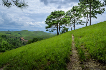 Green hill plateau in Xiengkhouange Province, Laos