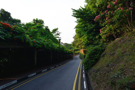 Every scenery i feel beautiful and have a feel of life and just snap it I am just rookie for photograph #Photo by F.O.R.E.S.T