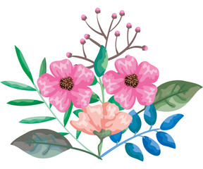 beautiful flowers and leafs decoration vector illustration design