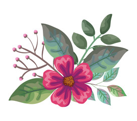 beautiful flowers and leafs decoration vector illustration design