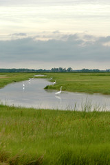 Missouri Wetlands
