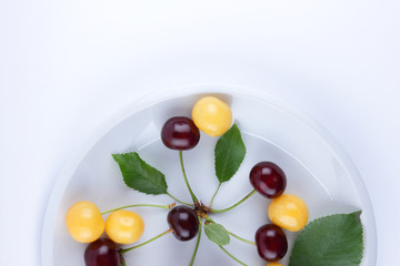 Red and yellow cherries on a white plate, fresh multicolored cherries with green leaves, yellow and red berries in the style of minimalism, vegetarian food, blank for the designer