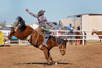 Bucking Bronco Horse At Country Rodeo