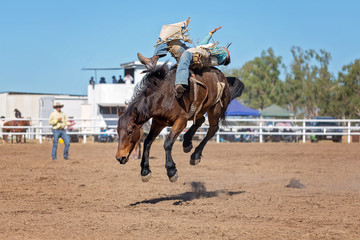 Bucking Bronco Horse At Country Rodeo
