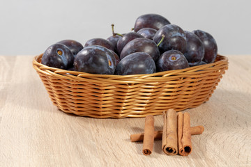 Cinnamon in front of a basket full of ripe plums