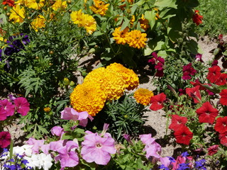 La Granja de San Ildefonso