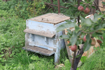Old empty beehive in the garden with open lid, no bees inside near an apple tree