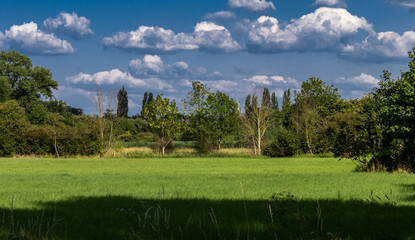 Leinemasch Landschaft Sommer