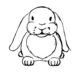 rabbit drawings with a black pen