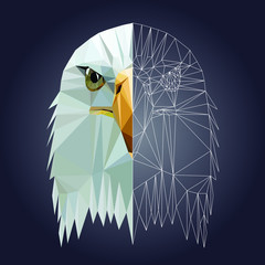 Low poly triangular  bald eagle head on dark background, vector illustration EPS 10 isolated.  Polygonal style trendy modern logo design. Suitable for printing on a t-shirt.