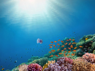 Naklejka premium Rays of sunlight shining into sea, underwater view