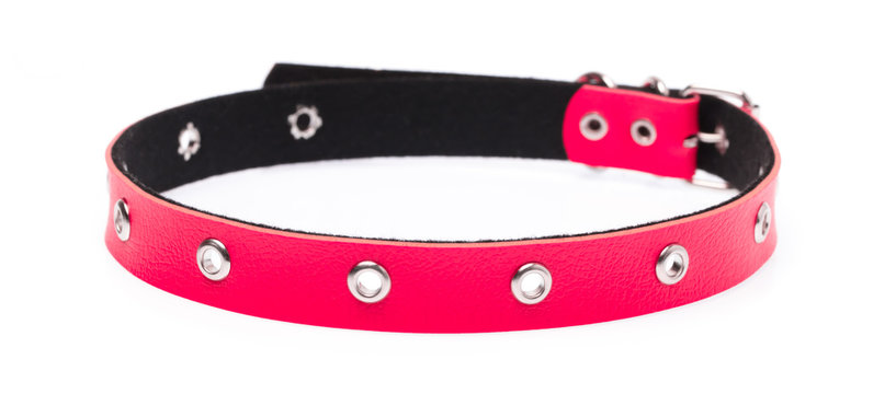 red leather dog collar isolated on white background