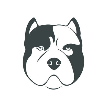 Portrait of an American bull dog. The American bully icon for the logo.