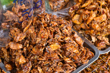 Squid spicy flavors Seafood Processing.