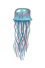 Handdrawn illustration of a colourful jellyfish