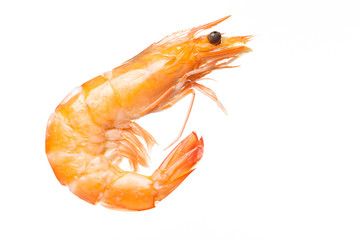 Shrimps. Prawns  on a White Background. Seafood