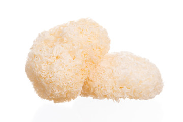 Dried snow fungus (Tremella fuciformis) on white background