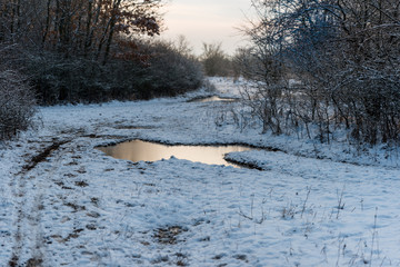 Frosted pond in winter