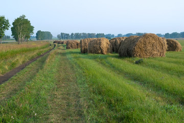 many haystacks near the road in the field on a Sunny day