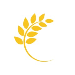 Round frame with ears of wheat or barley or rye. Vector illustration isolated on white.