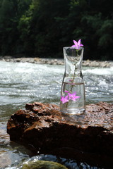Picture of a glass flask with water.