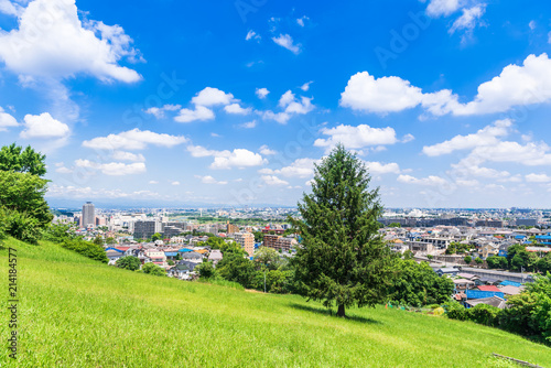 青空が広がる住宅街 Wall Mural Wallpaper Murals Oben901 青空が広がる住宅街 Wall Mural Wallpaper Murals Oben901