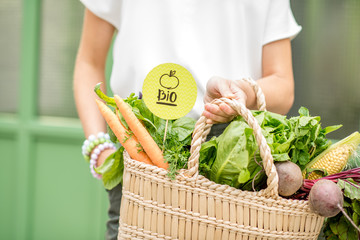 Holding bag full of fresh organic vegetables with green sticker from the local market on the green background - obrazy, fototapety, plakaty