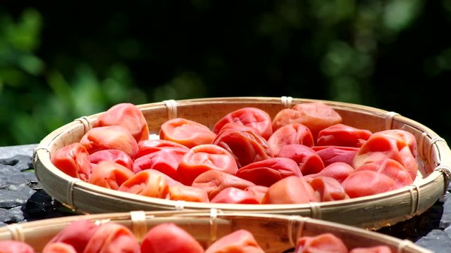 梅干（土用干し）