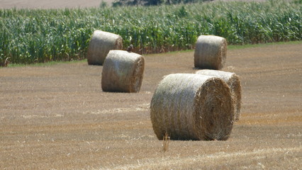 Strohballen