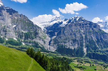 Fototapeta premium Glacier and Green Hill Side in Swiss