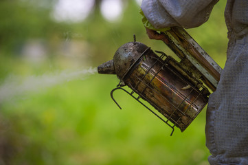 Old bee smoker, Beekeeping tool, Sring in an apiary