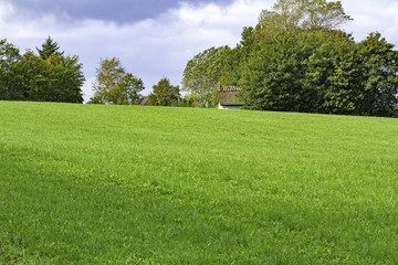 Schönes Grundstück - Freifläche - in ruhiger Lage.