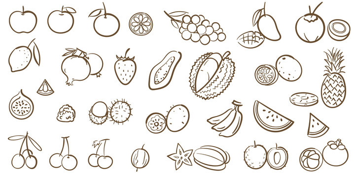 Mix fruits and tropical fruits collection, line art vector illustration in cartoon style