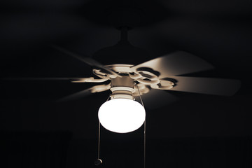 a fan with lamp