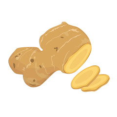 漢方や薬膳料理に使われる生姜のイラスト