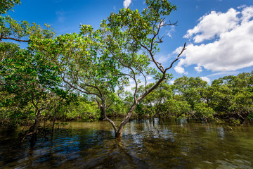 Australian East Coast