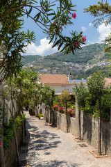 Fototapeta na wymiar A narrow steep street with blooming oleanders in Ravello. Amalfi Coast. Italy
