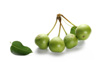 Wild, young green pears with twig and leaves isolated on white background