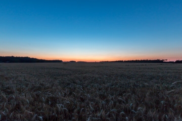 Felder im Sonnenuntergang