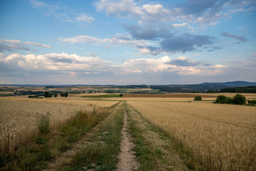 Sonnenuntergang in den Feldern