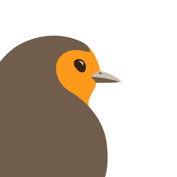  bird robin vector illustration flat style profile